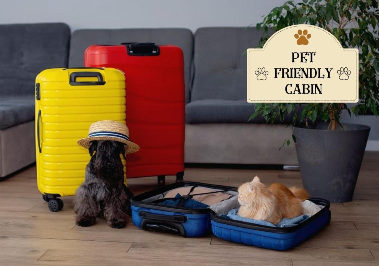 Fabulous Pet-Friendly, Family Cabin With Outdoor Kitchen, Hot Tub, Sauna, Fireplace, Theater Room, Arcade, Pool Table, And Fire Pit Within Minuties Of Dollywood セバービル エクステリア 写真